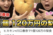 【画像】ヒカキン「家に有名女優呼んで120万円の梨食べてみたww(高級時計チラ見せ」