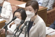 れいわ・大石晃子議員、岸田首相に「資本家の犬、財務省の犬」と面罵