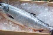 私実家から義実家にカニや鮭を送っていて、魚の捌けない義母から鮭の解体に毎回呼び出される。毎回切ってあげてるのにイヤゲモノと言われた