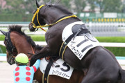 【画像】お馬さん、競馬場で始めるｗｗｗｗｗｗｗｗｗｗｗｗ