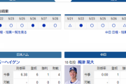 【実況・雑談】 5/29 中日vs日ハム（札幌ドーム）14:00開始　先発 梅津-バーヘイゲン