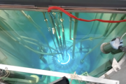 【動画】研究用の原子炉で発生した「チェレンコフ放射」をとらえた映像