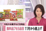 【悲報】11月は食料品765品目値上げです　乳製品･お菓子･日用品など