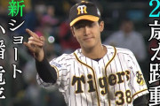 阪神小幡さん20歳にして職人みたいな守備をする