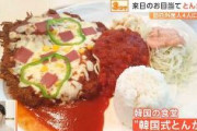 【TBS】「とんかつ」が韓国人に大人気…韓国にもとんかつ（トンカス）があります　不買運動から一転、イエスジャパン現象