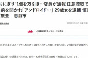 アンドロイドのお姉さん、逮捕