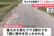 【秋田】78歳のばあさん👵、散歩中にクマ3頭🐻🐻🐻と遭遇