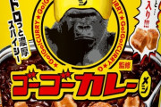 【画像】日清「ゴーゴーカレーメシ」発売ｗｗｗｗｗ