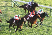東スポ杯2歳S勝ち馬ガストリック が 皐月賞回避