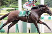 マルターズアポジーが引退、白馬牧場で種牡馬入り