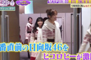 【日向坂46】Mステ裏側たのしみすぎる