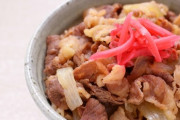 【ストレスで】いま、牛丼に紅しょうがメガ盛りして食ってるwwwwwwww