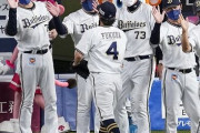 【悲報】オリックス・バファローズさん、何かもう普通に強くなってしまう