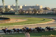 もうｇ１は１人気複勝だけ買って夏競馬から本気出そうかな?