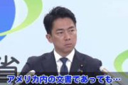 【動画】小泉進次郎、無双するｗｗｗｗｗｗ