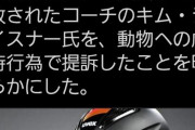 【悲報】　ドイツの馬術女子選手と馬を殴ったコーチ、動物虐待で訴えられる・・・