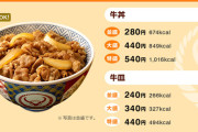 かつて牛丼が280円だったという事実