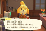 【あつまれどうぶつの森】つねきちの店、買い占めると品揃え変わるのね
