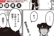 【適当】なんだよこの漫画ｗｗｗ【注意】
