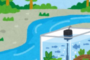 水槽立ち上げるけど川の水ってそのまま使える？