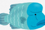 オニハゲブダイとかいう可哀想すぎる名前の魚