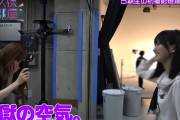 テレサパンダ発見の後の地獄の空気ワロタｗｗｗ【乃木坂46】