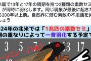 【2024年】北米でセミ一兆匹が一斉羽化へ