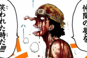 【朗報】ワンピースで一番面白い戦いと言えばココｗｗｗｗｗ