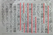 任天堂「バンダイの権利侵害してもうた…せや！」