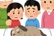 【悲報】愛犬が永眠して５週間は経過する