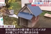 【悲報】秋田市で飼い犬が犬小屋ごとクマに連れ去られる