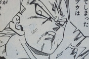 ドラゴンボールのベジータってバビディの洗脳が無ければスーパーサイヤ人2になれなかったの？