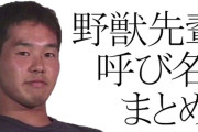野獣先輩のマイナーな異名で1000を目指す