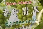 日本「シャインマスカット1万2000円！」中国「シャインマスカット600円！」 中国で無断栽培、シャインマスカットの年間損失100億円超