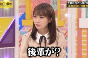 【乃木坂46】乃木坂の『弄りやすい先輩』の存在って希少よなwwwwwww
