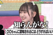 【考察】何故AKBは意図的にブ〇を入れてるのか