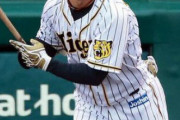 阪神戦力外の高山俊外野手を拾いそうな球団ｗｗｗｗｗｗｗｗｗｗ