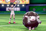 【すごい】ポケモン剣盾「色違いウールー1匹」で殿堂入り！強化版ダンデまでの全トレーナーを撃破！