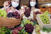 「1房1400万ウォン」日本の高級ブドウがなぜ韓国のデパートに…日本、憤慨＝韓国の反応