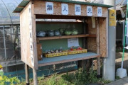 ジジババがやってる野菜の無料販売所wwwwwwwwww
