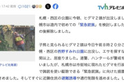 【札幌】2日連続でヒグマの子熊が公園に出現→緊急銃猟をのぞき見ようと見学者が出現→駆除中止に