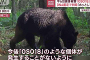 OSO18、味噌煮込みになる【Xまとめ】