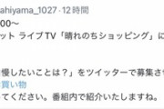 【朗報】弱者男性の姫「私の自慢したいことはVTuberとコラボしたこと」ﾄﾞﾝｯ