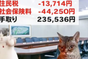 【動画】猫ミーム「これが”社会保険料”の闇です」