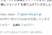 【アベノマスク】駐日ジョージア臨時代理大使の反応が話題に