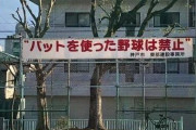 公園「大声を出すな！球技禁止！」←何したらええんや…