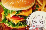 【アズレン】艦船達はマック、マクド、マクナルなんて呼んでいるんだろ？