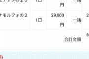 【競馬】ワイ格安系専門一口クラブ民、無事今年も京都サラブレッドクラブに出資完了