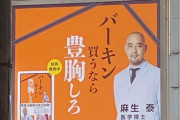【麻生泰】ジャパン「バーキン買うなら豊胸しろ」の広告に女性達激怒