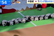 中国メディア｢中日間の緊張が続けば日本はパンダがいなくなる状況に直面するだろう｣上野動物園のパンダは来年2月に返還期限迎える